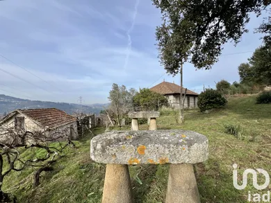 Ferme à Oliveira do Douro