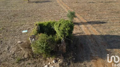 Terreno urbano  em Areias e Pias