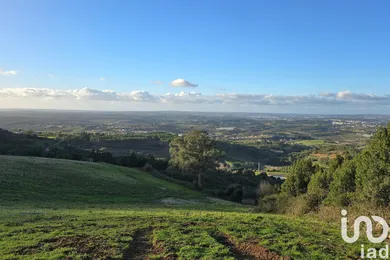 Terreno em Lamas e Cercal
