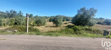 Terreno rústico em Colmeias e Memória