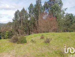 Terrain  à São Miguel, Santa Eufémia e Rabaçal