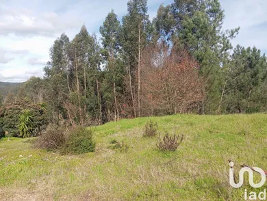 Terrain  à São Miguel, Santa Eufémia e Rabaçal