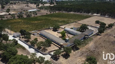 Land at Quinta do Anjo