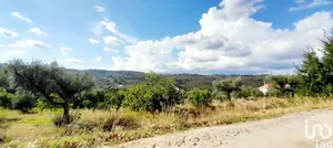 Terreno em Seixo da Beira
