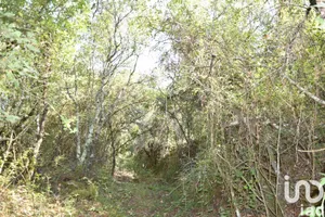 Terreno em Areias e Pias