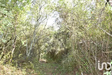 Land  at Areias e Pias