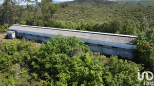 Detached house  at Freixianda, Ribeira do Fárrio e Formigais