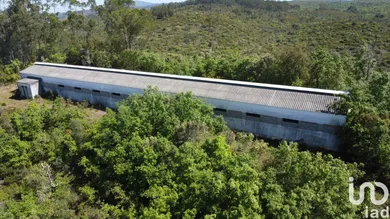 Moradia  em Freixianda, Ribeira do Fárrio e Formigais