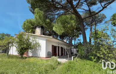 Casa/Moradia em Madalena e Beselga