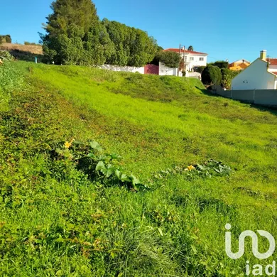 Terreno em Santa Maria, São Pedro e Sobral da Lagoa