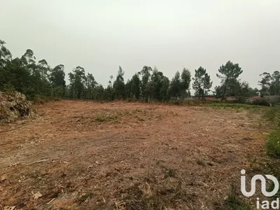 Fotografia 3 de Terreno rústico de 6532 m² em Mazarefes E Vila Fria