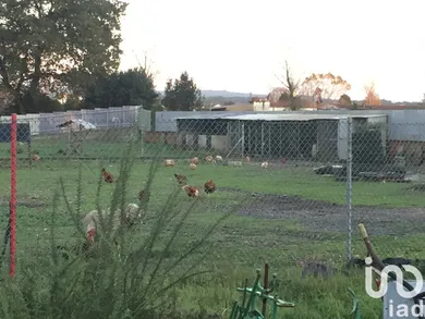 Terreno  em Avanca