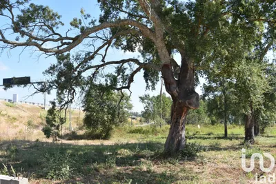 Fotografia 8 de Terreno misto de 645 m² em Amor