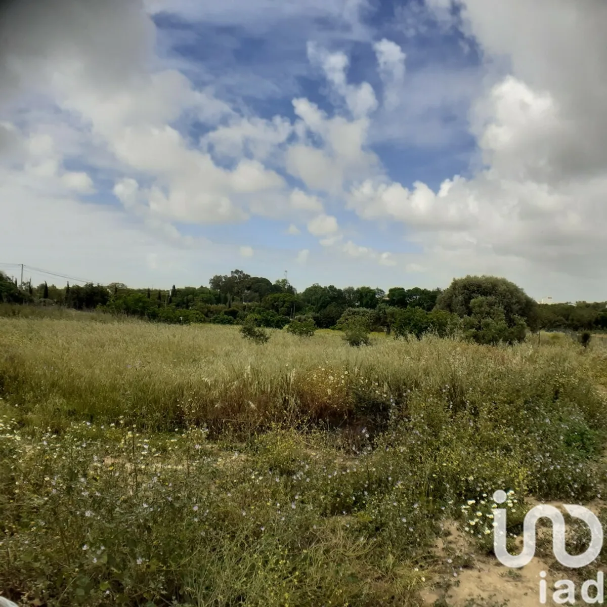 Terreno urbano de 31 269 m² em Tavira (Santa Maria e Santiago)