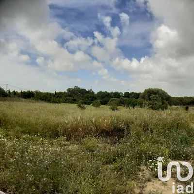 Fotografia 4 de Terreno de 6820 m² em Luz de Tavira e Santo Estêvão