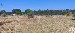 Terrain à batir  à Branca