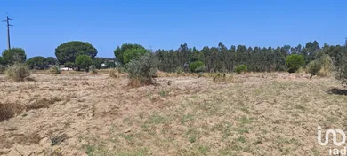 Terrain à batir  à Branca