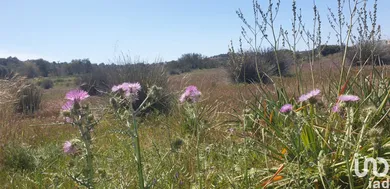 Terreno em Algoz e Tunes