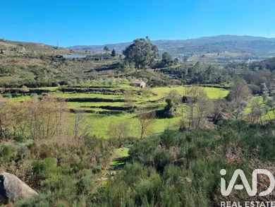 Quinta em Cortiçô da Serra, Vide Entre Vinhas e Salgueirais