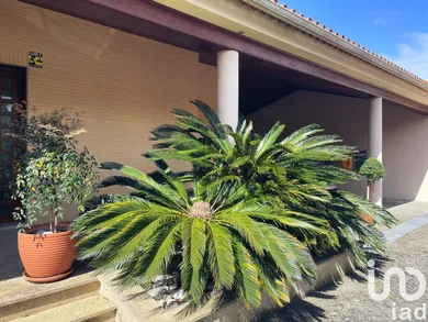 House  in Anha