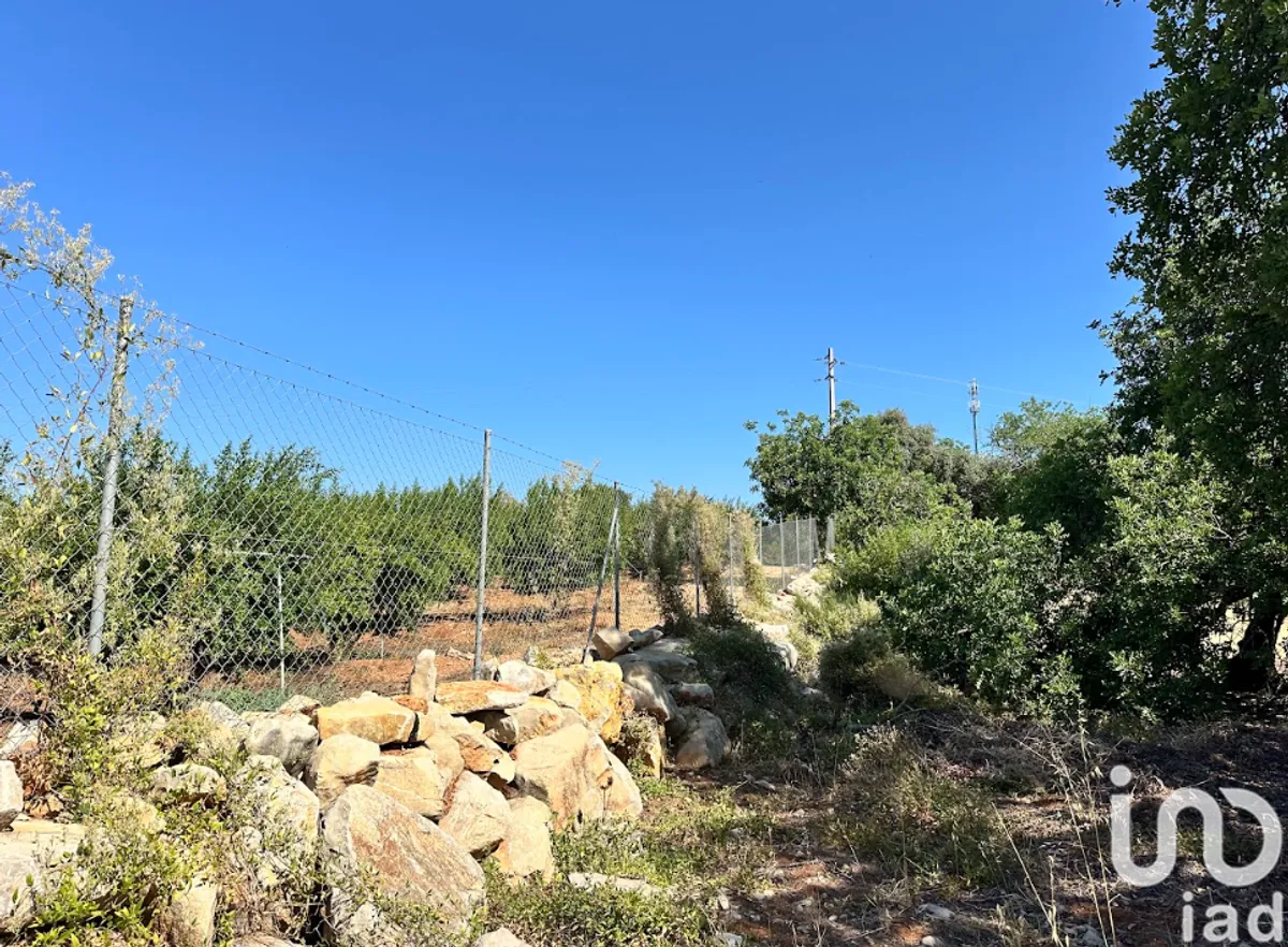 Terreno de 5570 m² em Luz de Tavira e Santo Estêvão