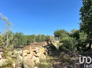 Land  at Luz de Tavira e Santo Estêvão