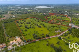Farm in Luz de Tavira e Santo Estêvão