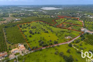 Farm at Luz de Tavira e Santo Estêvão