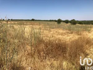 Farm land  at Moura (Santo Agostinho e São João Baptista) e Santo Amador