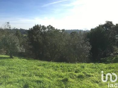 Terreno  em Ceira