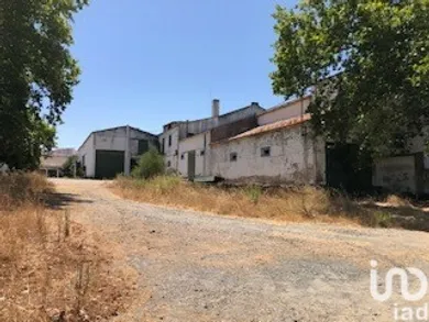 Terreno  em Torrão