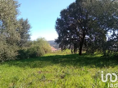 Terrain à Maçãs de Dona Maria