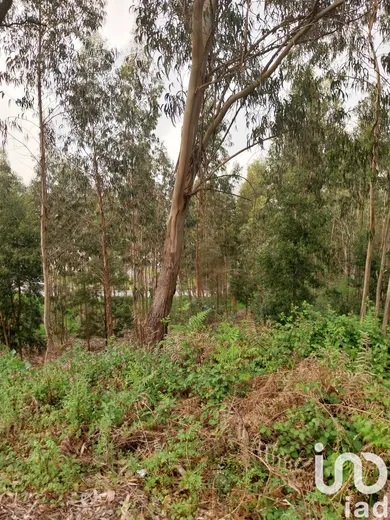 Terreno urbano  em Sandim, Olival, Lever e Crestuma