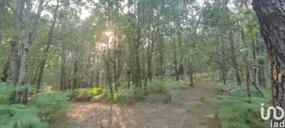 Fotografia 5 de Terreno rústico de 45 500 m² em Sendim