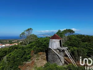 Casa/Moradia  em Criação Velha