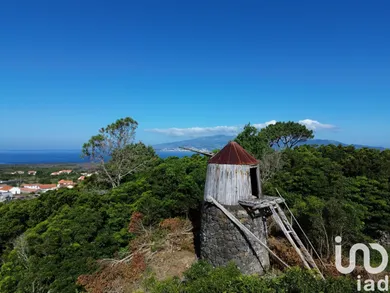 House  in Criação Velha