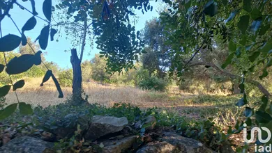 Terreno  em Loulé (São Clemente)