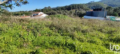 Terrain  à Leiria, Pousos, Barreira e Cortes