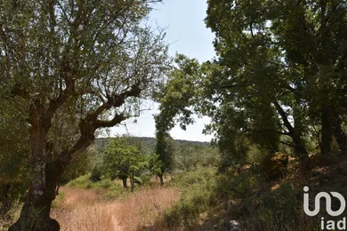 Terreno urbano em Chãos