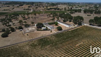 Terreno em Quinta do Anjo