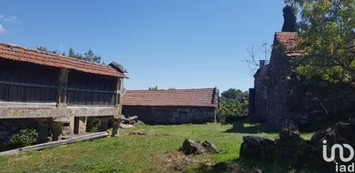 Ferme  à Salto