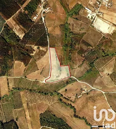 Building plot  in Lamas e Cercal