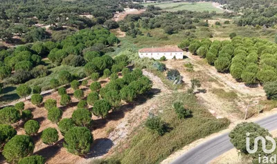 Fotografia 5 de Terreno rústico de 1500 m² em Alpiarça