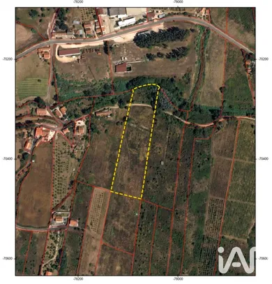 Land  in Alenquer (Santo Estêvão e Triana)