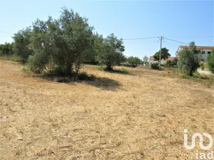 Terreno  em Madalena e Beselga