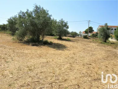 Land at Madalena e Beselga