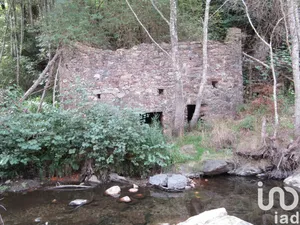 Domain  at Santiago de Montalegre