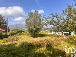 Land  at Geraz Do Lima (Santa Maria, Santa Leocádia E Moreira) E Deão