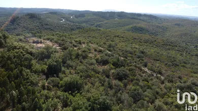 Terreno  em Freixianda, Ribeira do Fárrio e Formigais