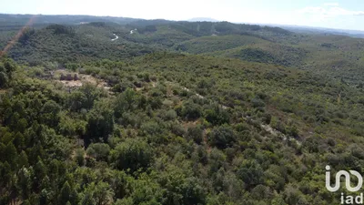 Fotografia 3 de Terreno de 15 939 m² em Freixianda, Ribeira do Fárrio e Formigais